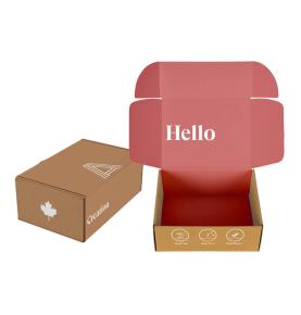 Fast Delivery Custom A4 Size Sustainable Brown Natural Kraft Mailer Cardboard Printed Boxes